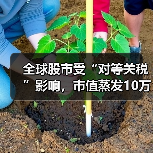 全球股市受“对等关税”影响,市值蒸发10万亿美元 全球股市受“对等关税”影响,市值蒸发10万亿美元
