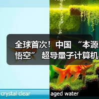 全球首次！中国 “本源悟空” 超导量子计算机成功实现十亿参数 AI 大模型微调
