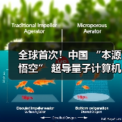全球首次！中国 “本源悟空” 超导量子计算机成功实现十亿参数 AI 大模型微调