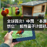 全球首次！中国 “本源悟空” 超导量子计算机成功实现十亿参数 AI 大模型微调