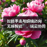 智能手表与眼镜迈向 “无感智能”,端云协同破解 “不可能三角” 难题 智能手表与眼镜迈向 “无感智能”,端云协同破解 “不可能三角” 难题