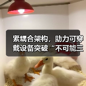 紧耦合架构，助力可穿戴设备突破“不可能三角”