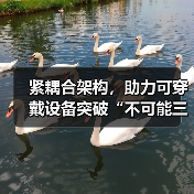 紧耦合架构，助力可穿戴设备突破“不可能三角”