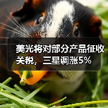 美光将对部分产品征收关税，三星调涨5%