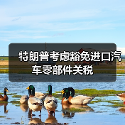 特朗普考虑豁免进口汽车零部件关税 特朗普考虑豁免进口汽车零部件关税