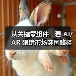 从关键零组件,看 AI/AR 眼镜市场突围路径 从关键零组件,看 AI/AR 眼镜市场突围路径