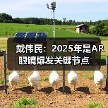 戴伟民：2025年是AR 眼镜爆发关键节点