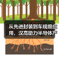 从先进封装到车规级应用,汉高助力半导体产业逐浪AI时代 从先进封装到车规级应用,汉高助力半导体产业逐浪AI时代