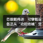 芯原戴伟进:可穿戴设备正从“功能终端”变成 “AI 交互新入口” 芯原戴伟进:可穿戴设备正从“功能终端”变成 “AI 交互新入口”