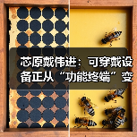 芯原戴伟进:可穿戴设备正从“功能终端”变成 “AI 交互新入口” 芯原戴伟进:可穿戴设备正从“功能终端”变成 “AI 交互新入口”