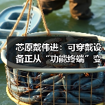 芯原戴伟进:可穿戴设备正从“功能终端”变成 “AI 交互新入口” 芯原戴伟进:可穿戴设备正从“功能终端”变成 “AI 交互新入口”