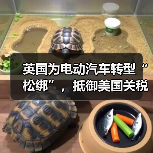 英国为电动汽车转型“松绑”,抵御美国关税影响 英国为电动汽车转型“松绑”,抵御美国关税影响
