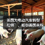 英国为电动汽车转型“松绑”,抵御美国关税影响 英国为电动汽车转型“松绑”,抵御美国关税影响