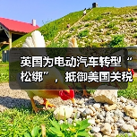 英国为电动汽车转型“松绑”,抵御美国关税影响 英国为电动汽车转型“松绑”,抵御美国关税影响