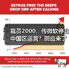 裁员2000，传微软停止中国区运营？回应来了