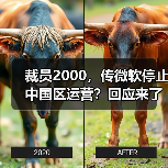 裁员2000，传微软停止中国区运营？回应来了