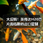 大反转！英伟达H20芯片面临新的出口管制