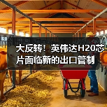 大反转！英伟达H20芯片面临新的出口管制