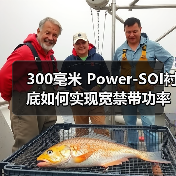 300毫米 Power-SOI衬底如何实现宽禁带功率器件高频高效驱动？