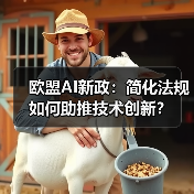 欧盟AI新政:简化法规如何助推技术创新? 欧盟AI新政:简化法规如何助推技术创新?