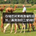 存储芯片关税激增引担忧,美光涨价三星调价如何影响市场? 存储芯片关税激增引担忧,美光涨价三星调价如何影响市场?