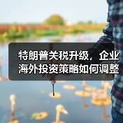 特朗普关税升级,企业海外投资策略如何调整? 特朗普关税升级,企业海外投资策略如何调整?
