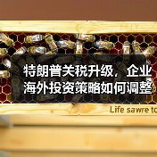 特朗普关税升级,企业海外投资策略如何调整? 特朗普关税升级,企业海外投资策略如何调整?
