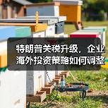 特朗普关税升级,企业海外投资策略如何调整? 特朗普关税升级,企业海外投资策略如何调整?