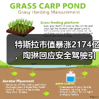 特斯拉市值暴涨2174亿，陶琳回应安全驾驶引关注