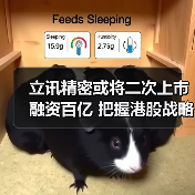 立讯精密或将二次上市融资百亿 把握港股战略扩张时机? 立讯精密或将二次上市融资百亿 把握港股战略扩张时机?