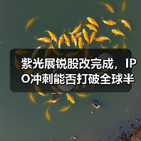 紫光展锐股改完成，IPO冲刺能否打破全球半导体格局？