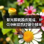 紫光展锐股改完成，IPO冲刺能否打破全球半导体格局？