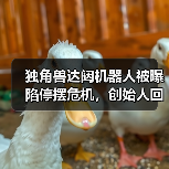 独角兽达闼机器人被曝陷停摆危机,创始人回应:短期资金流动性挑战 独角兽达闼机器人被曝陷停摆危机,创始人回应:短期资金流动性挑战
