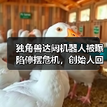 独角兽达闼机器人被曝陷停摆危机,创始人回应:短期资金流动性挑战 独角兽达闼机器人被曝陷停摆危机,创始人回应:短期资金流动性挑战