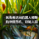 独角兽达闼机器人被曝陷停摆危机,创始人回应:短期资金流动性挑战 独角兽达闼机器人被曝陷停摆危机,创始人回应:短期资金流动性挑战