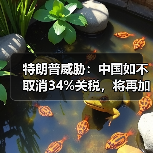 中美贸易战全面升级 50%关税威胁冲击全球市场-云溯流云昇科技