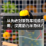 汉高先进封装技术如何引领AI芯片与车规级应用发展?-云溯流云昇科技 汉高先进封装技术如何引领AI芯片与车规级应用发展?-云溯流云昇科技