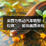 英国放松电动车规定应对美国关税冲击 为何选择"松绑"政策?-云溯流云昇科技 英国放松电动车规定应对美国关税冲击 为何选择"松绑"政策?-云溯流云昇科技