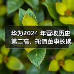 华为2024 年营收历史第二高,轮值董事长换人 华为2024 年营收历史第二高,轮值董事长换人