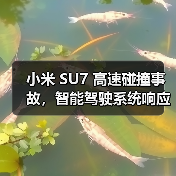 小米 SU7 高速碰撞事故,智能驾驶系统响应与电池安全引关注 小米 SU7 高速碰撞事故,智能驾驶系统响应与电池安全引关注