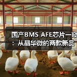 国产BMS AFE芯片一窥:从晶华微的两款新品说起 国产BMS AFE芯片一窥:从晶华微的两款新品说起