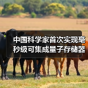 中国科学家首次实现毫秒级可集成量子存储器 中国科学家首次实现毫秒级可集成量子存储器