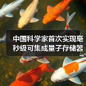 中国科学家首次实现毫秒级可集成量子存储器 中国科学家首次实现毫秒级可集成量子存储器