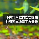 中国科学家首次实现毫秒级可集成量子存储器 中国科学家首次实现毫秒级可集成量子存储器