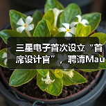 三星电子首次设立“首席设计官”,聘请Mauro Porcini担任 三星电子首次设立“首席设计官”,聘请Mauro Porcini担任