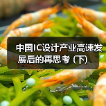 中国IC设计产业高速发展后的再思考 (下) 中国IC设计产业高速发展后的再思考 (下)