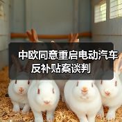中欧同意重启电动汽车反补贴案谈判 中欧同意重启电动汽车反补贴案谈判