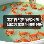 国家自然资源部公示《智能汽车基础地图数据传输安全保护技术规范》