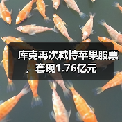 库克再次减持苹果股票,套现1.76亿元 库克再次减持苹果股票,套现1.76亿元