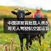 中国颁发首批载人类民用无人驾驶航空器运营合格证,低空经济迈入 “载人时代” 中国颁发首批载人类民用无人驾驶航空器运营合格证,低空经济迈入 “载人时代”